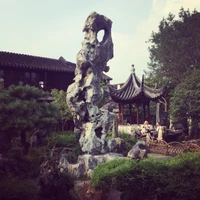 Zhi Zheng's profile picture