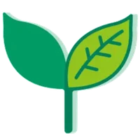 YANS's profile picture