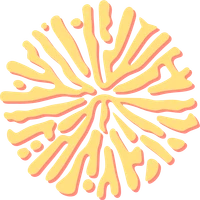 CORAL NLP Research's profile picture