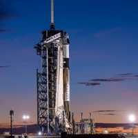 Mihir Tripathy's profile picture