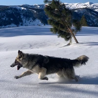 Stefania Moroianu's profile picture