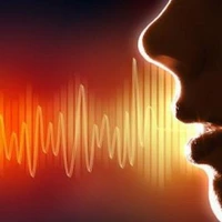 SpeakingAi's profile picture