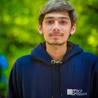 Muhammad Mujtaba Hussain's profile picture