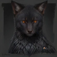 BlackAlpha's profile picture