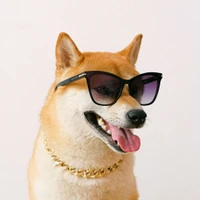 Aksel Tinfat's profile picture