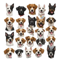 Nguyễn Minh Tuấn's profile picture