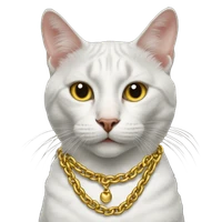 sarangi's profile picture